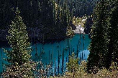 Kaindy river entering turquoise Lake Kaindy with dead Spruce trees Kazakhstan
