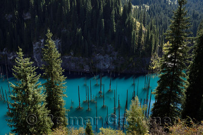 Turquoise Lake Kaindy from above with Asian Spruce trees Kazakhstan