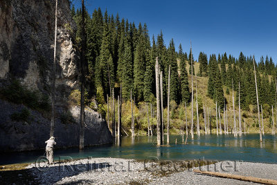 Photographer at Kaindy river Gorge to Kaindy Lake with Spruce trees Kazakhstan