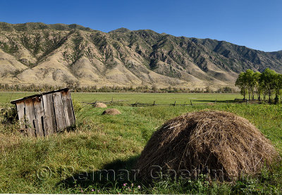 Hay piles in Saty village yard facing the Chilik river and Kungey Alatau mountains Kazakhstan