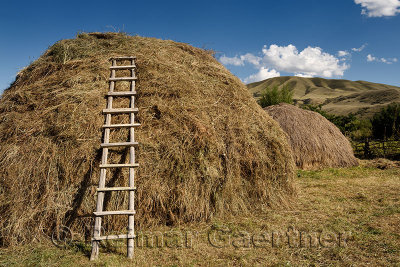 Hay pile with ladder in rural village of Saty on the Chilik river Kazakhstan