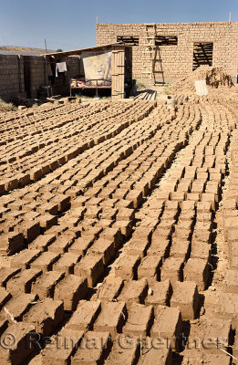 Mudbricks layed out in the sun to dry at adobe home construction site ...