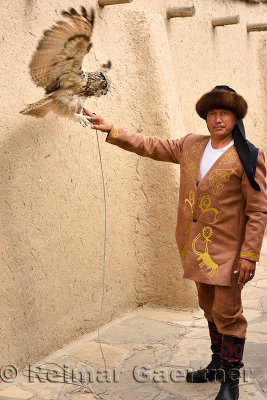 Great Horned Owl landing on handlers hand at Khoja Ahmed Yasawi Mausoleum Turkestan Kazakhstan