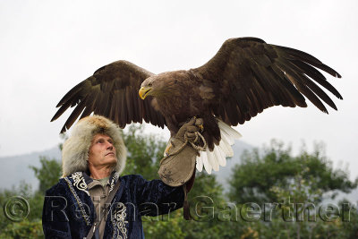 Trainer holding a White Tailed Eagle up with spread wings at Sunkar Falcon Farm Almaty Kazakhstan