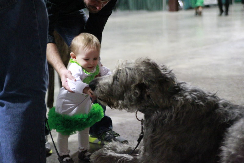 North Texas Irish Fest 2015