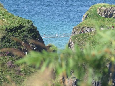 Dunluce Castle & Giant's Causeway