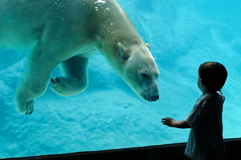 North Carolina Zoo