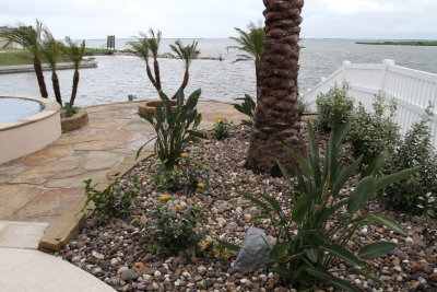 Rockport garden.JPG