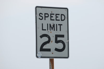 ZWX_4303.JPG