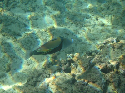 IMG_7762.JPG