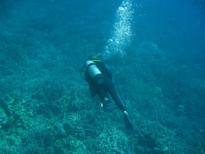 IMG_7894.JPG