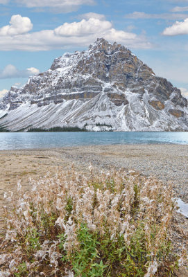 Rocky Mountain Vista