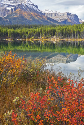 Herbert Lake Scene