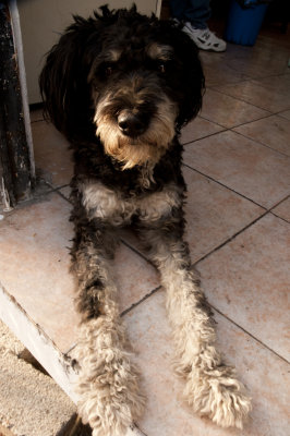 2014-Oaxaca_0834.jpg