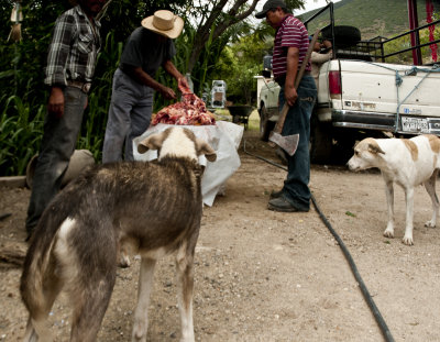 2014-Oaxaca_0225.jpg