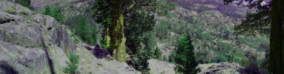 JMT