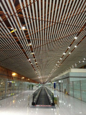 china (1).jpg