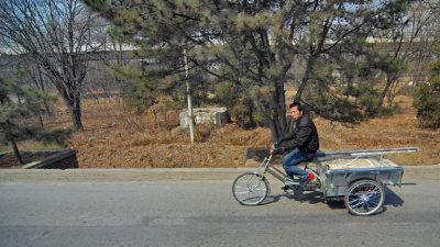 china (5).jpg