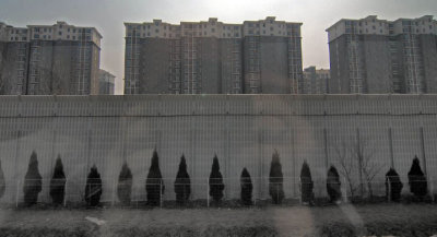 china (7).jpg
