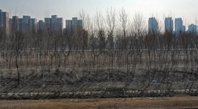 china (8).jpg
