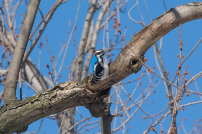 DSC_6274.jpg