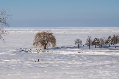 DNM_2215.jpg
