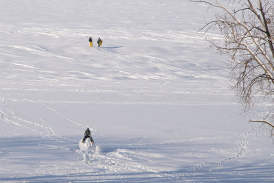 DNM_2235.jpg