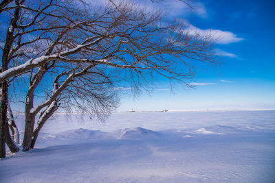 DNM_2185.jpg
