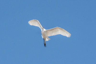 DMD_1389-2.jpg
