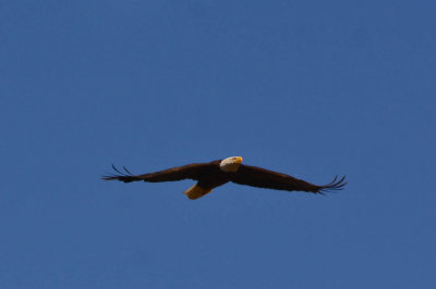 DMD_3053-2.jpg
