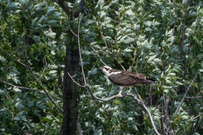 DSC_2695.jpg