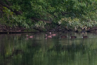 DSC_3602.jpg