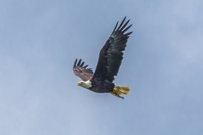 DSC_3864.jpg