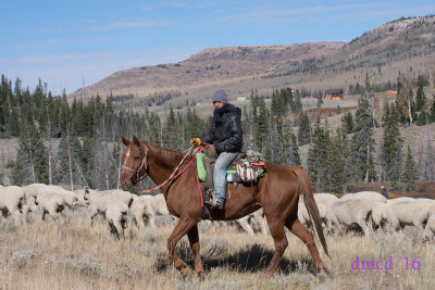 jim__donna_in_utah