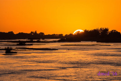 DSC_6398.jpg