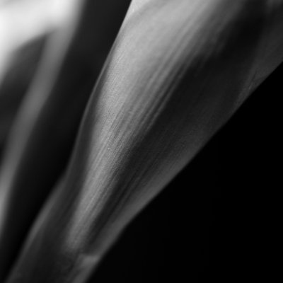 RX1 - DSC06118