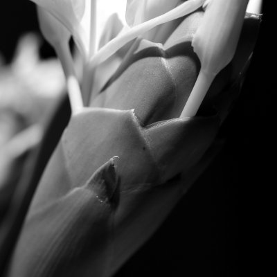 RX1 - DSC06120