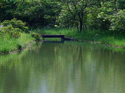 RX10 - DSC00204