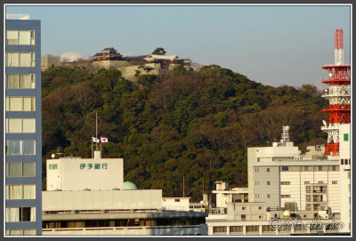 DSC03144.jpg