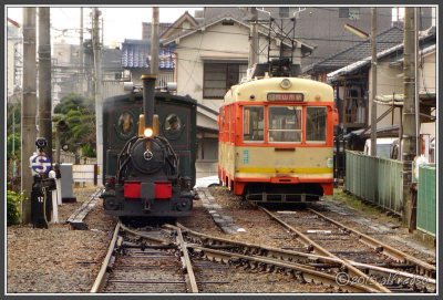 DSC03095.jpg
