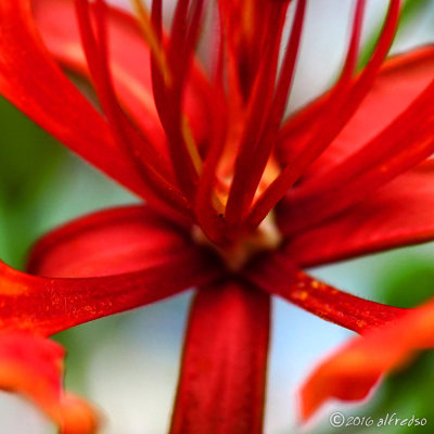 RX1RM2 - DSC00137