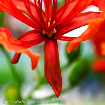 RX1RM2 - DSC00138