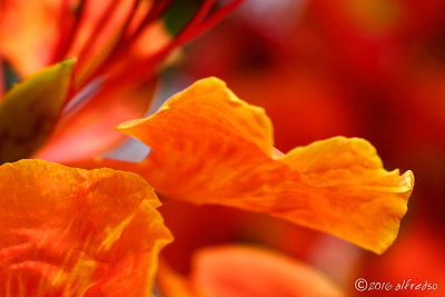 RX1RM2 - DSC00139