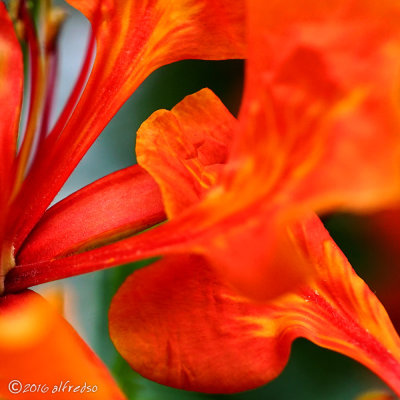 RX1RM2 - DSC00139