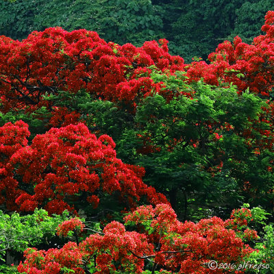 RX10M3 - DSC00161