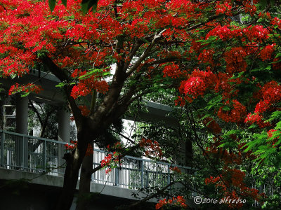 RX10M3 - DSC00165
