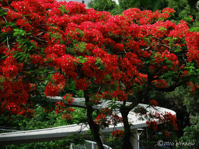 RX10M3 - DSC00166