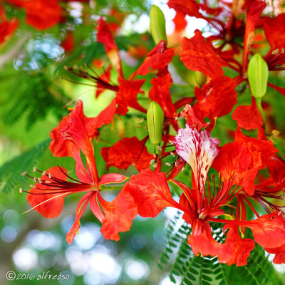 RX1RM2 - DSC00193