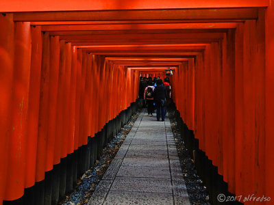 Fushimi Inari Taisha 伏見稲荷大社