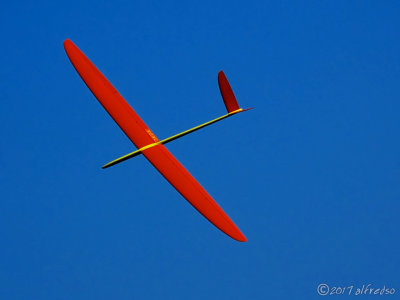 Sailplane 模型滑翔機